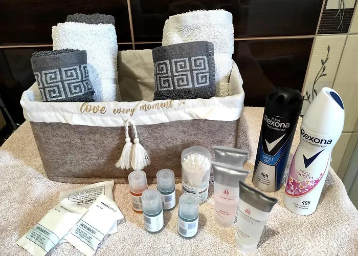 Ilidza Center דירה *